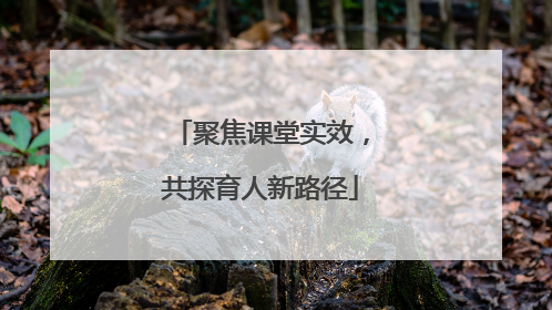 聚焦课堂实效，共探育人新路径