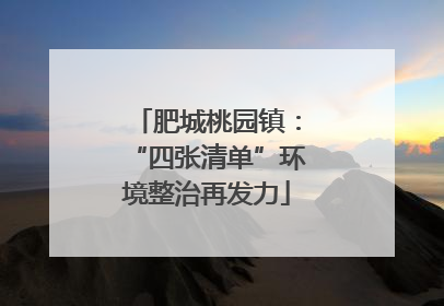 肥城桃园镇：“四张清单”环境整治再发力