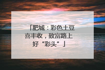 肥城：彩色土豆喜丰收，致富路上好“彩头”