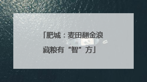 肥城：麦田翻金浪藏粮有“智”方