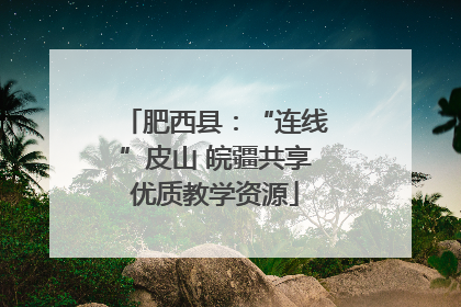 肥西县：“连线”皮山 皖疆共享优质教学资源