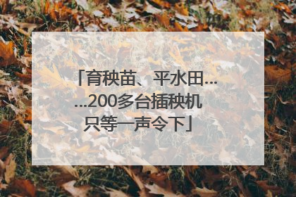 育秧苗、平水田……200多台插秧机只等一声令下
