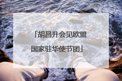 胡昌升会见欧盟国家驻华使节团