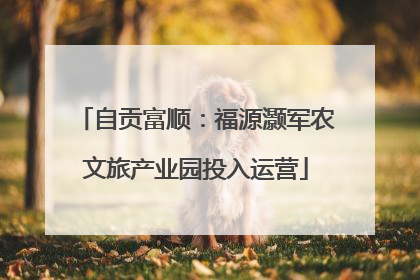 自贡富顺：福源灏军农文旅产业园投入运营