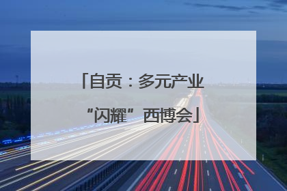 自贡：多元产业“闪耀”西博会