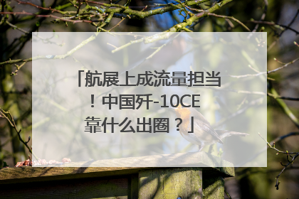 航展上成流量担当！中国歼-10CE靠什么出圈？