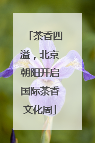 茶香四溢，北京朝阳开启国际茶香文化周