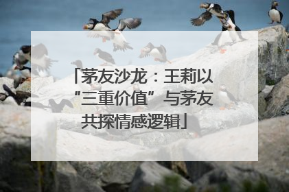 茅友沙龙：王莉以“三重价值”与茅友共探情感逻辑