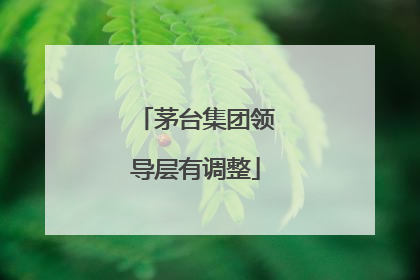 茅台集团领导层有调整