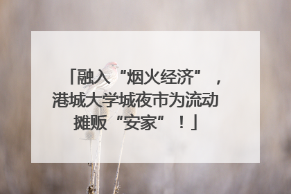 融入“烟火经济”，港城大学城夜市为流动摊贩“安家”！