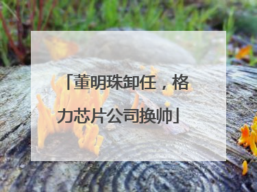 董明珠卸任，格力芯片公司换帅