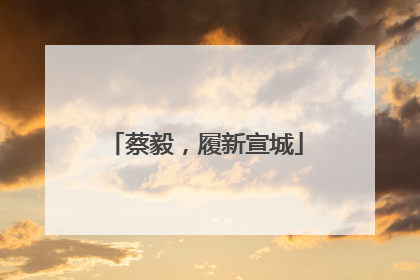 蔡毅，履新宣城