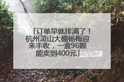 订单早就排满了！杭州萧山大棚杨梅迎来丰收，一盒96颗能卖到400元