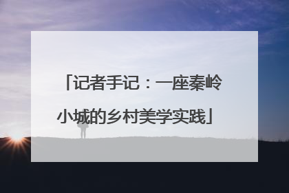 记者手记：一座秦岭小城的乡村美学实践