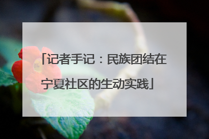 记者手记：民族团结在宁夏社区的生动实践