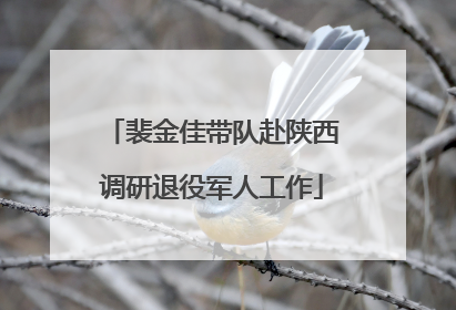 裴金佳带队赴陕西调研退役军人工作