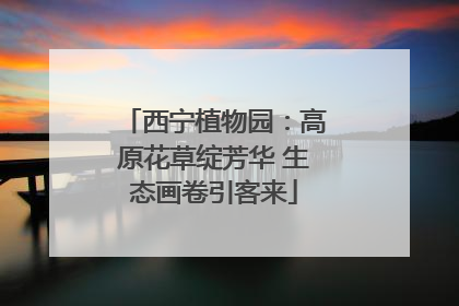 西宁植物园：高原花草绽芳华 生态画卷引客来