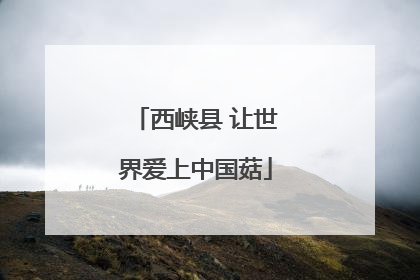 西峡县 让世界爱上中国菇