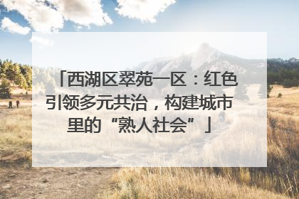 西湖区翠苑一区：红色引领多元共治，构建城市里的“熟人社会”