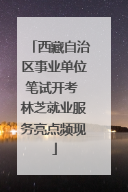 西藏自治区事业单位笔试开考 林芝就业服务亮点频现