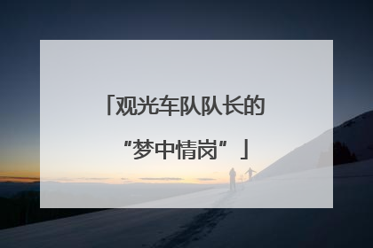 观光车队队长的“梦中情岗”