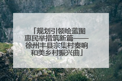 规划引领绘蓝图 惠民举措筑新篇——徐州丰县宗集村奏响和美乡村振兴曲
