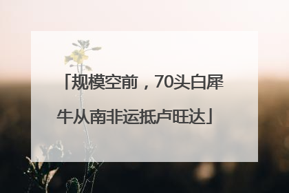 规模空前，70头白犀牛从南非运抵卢旺达