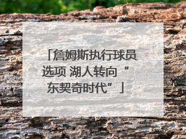詹姆斯执行球员选项 湖人转向“东契奇时代”
