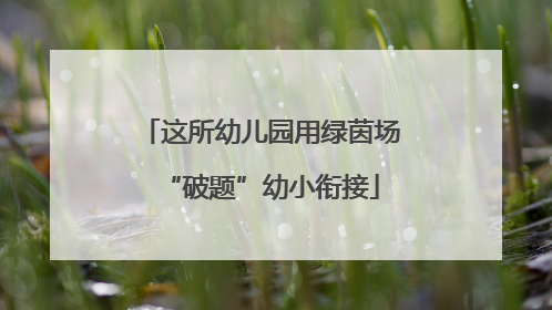这所幼儿园用绿茵场“破题”幼小衔接