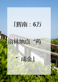 辉南：6万亩林地点“药”成金