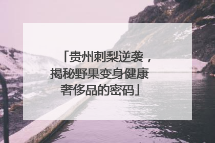 贵州刺梨逆袭，揭秘野果变身健康奢侈品的密码