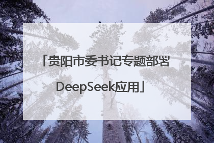 贵阳市委书记专题部署DeepSeek应用