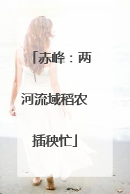 赤峰：两河流域稻农插秧忙