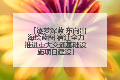 逐梦深蓝 东向出海绘蓝图 宿迁全力推进重大交通基础设施项目建设