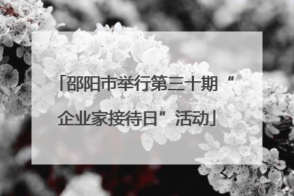邵阳市举行第三十期“企业家接待日”活动