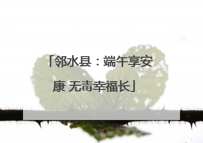 邻水县：端午享安康 无毒幸福长
