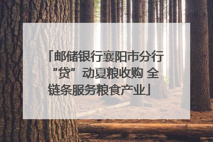 邮储银行襄阳市分行“贷”动夏粮收购 全链条服务粮食产业