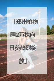 郑州植物园2万株向日葵热烈绽放