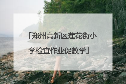 郑州高新区莲花街小学检查作业促教学