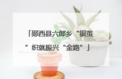 郧西县六郎乡“银茧”织就振兴“金路”