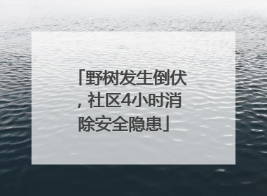 野树发生倒伏，社区4小时消除安全隐患