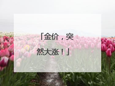 金价，突然大涨！