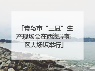 青岛市“三夏”生产现场会在西海岸新区大场镇举行