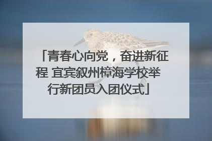 青春心向党，奋进新征程 宜宾叙州樟海学校举行新团员入团仪式