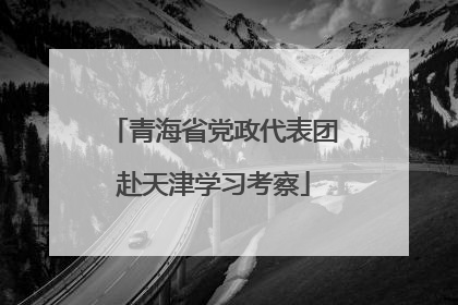 青海省党政代表团赴天津学习考察