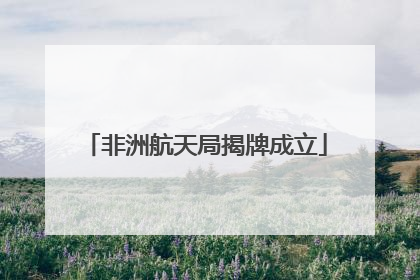 非洲航天局揭牌成立