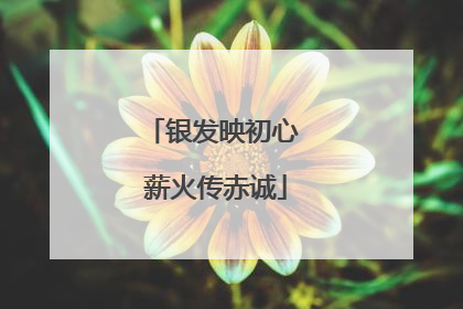 银发映初心 薪火传赤诚
