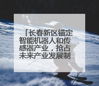 长春新区锚定智能机器人和传感器产业，抢占未来产业发展制高点