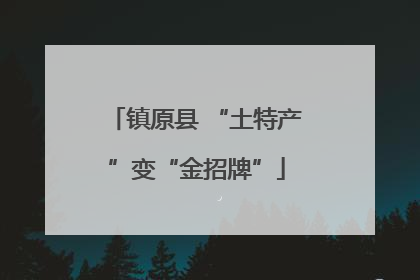 镇原县 “土特产”变“金招牌”