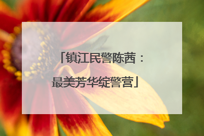镇江民警陈茜：最美芳华绽警营